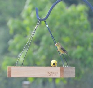 best platform bird feeder