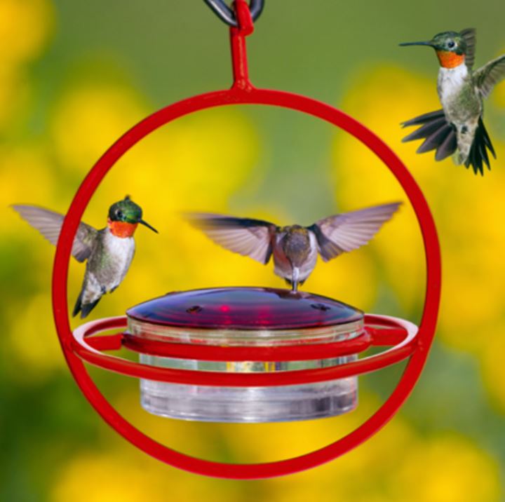 Three hummingbirds feeding from the Duncraft Sphere Shaped Feeder