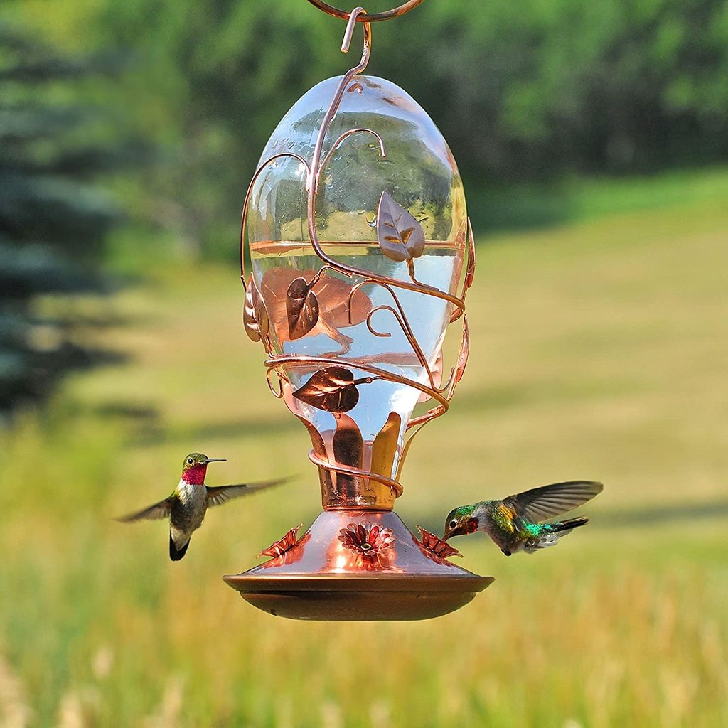 Glass and Copper Bird Feeder for Hummingbirds