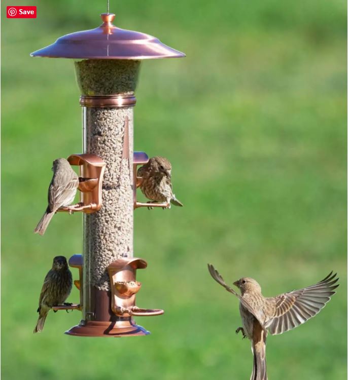 Tube Style Bird Feeder with 4 birds and copper accents