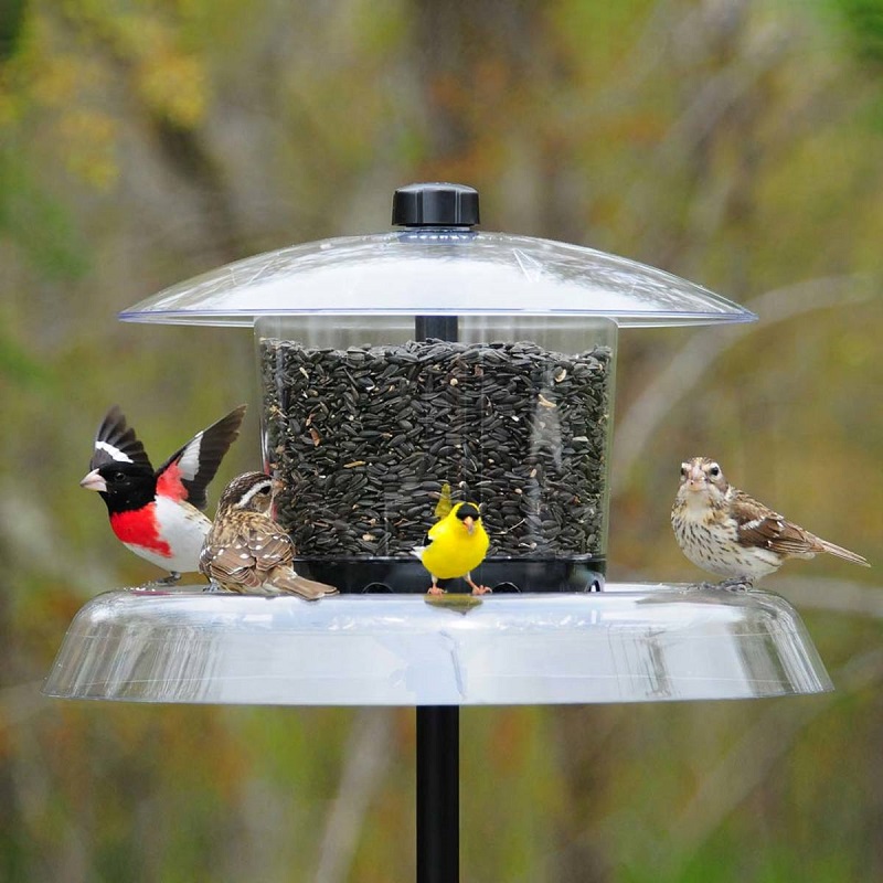 large plastic feeder with dome and squirrel resistant tray