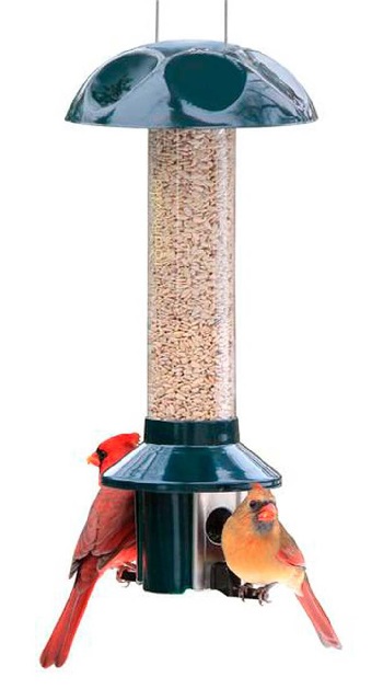 PestOff Sunflower Mixed Seed Pest Proof Bird Feeder