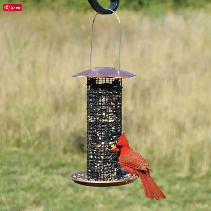 Small Sunflower Seed Feeder with Cardinal