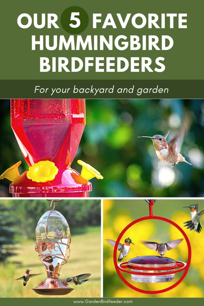 Five Of The Best Hummingbird Feeder For Your Garden In 2021